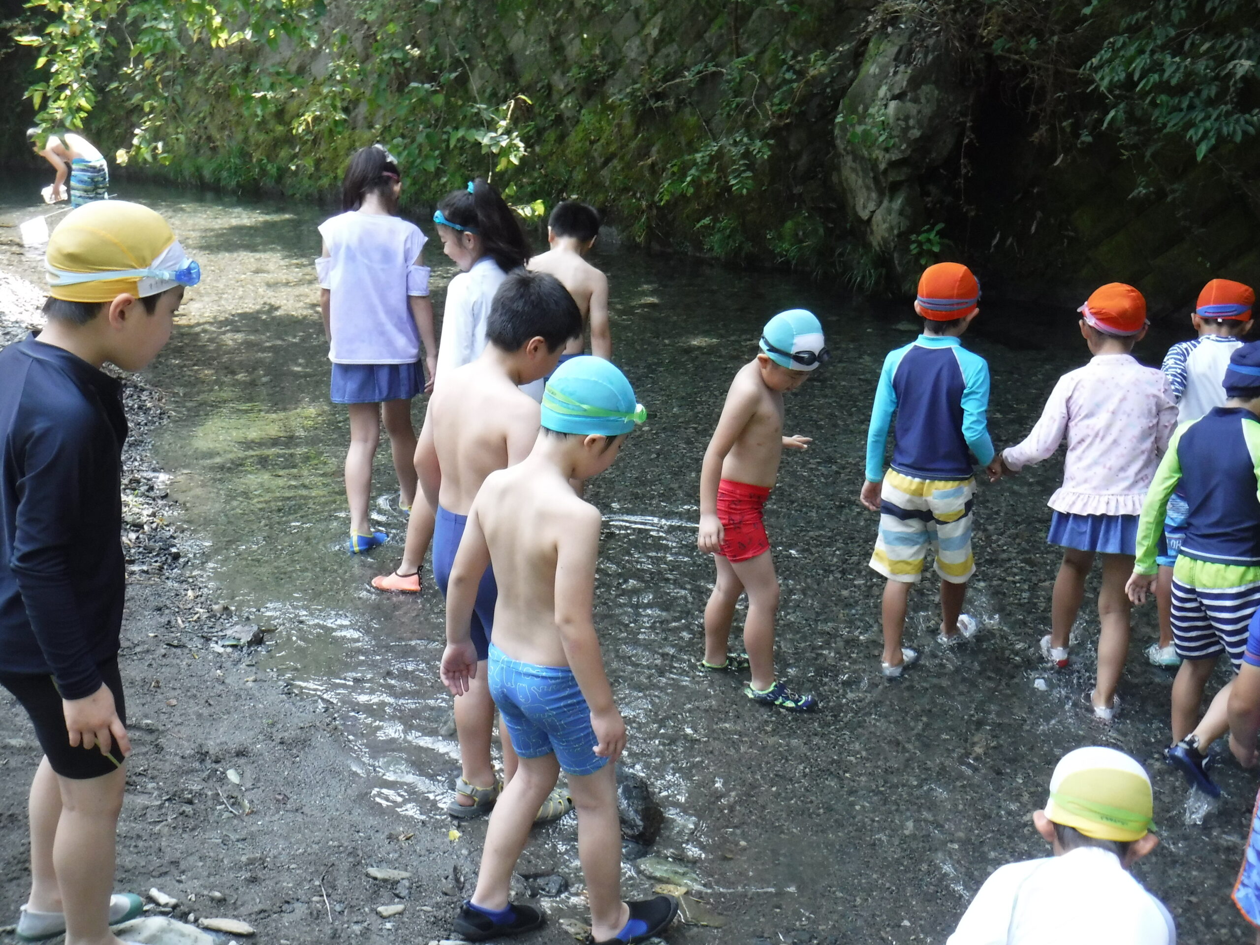 茅ヶ崎 藤沢の水泳教室なら湘南スイミングスクール